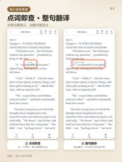 点词即查 · 整句翻译